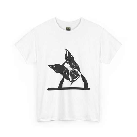 product_name graphic T-Shirt Del Lago Greenwich