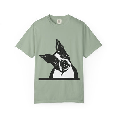 Curious Dog Peek Graphic Tee