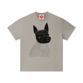 Gray Camel