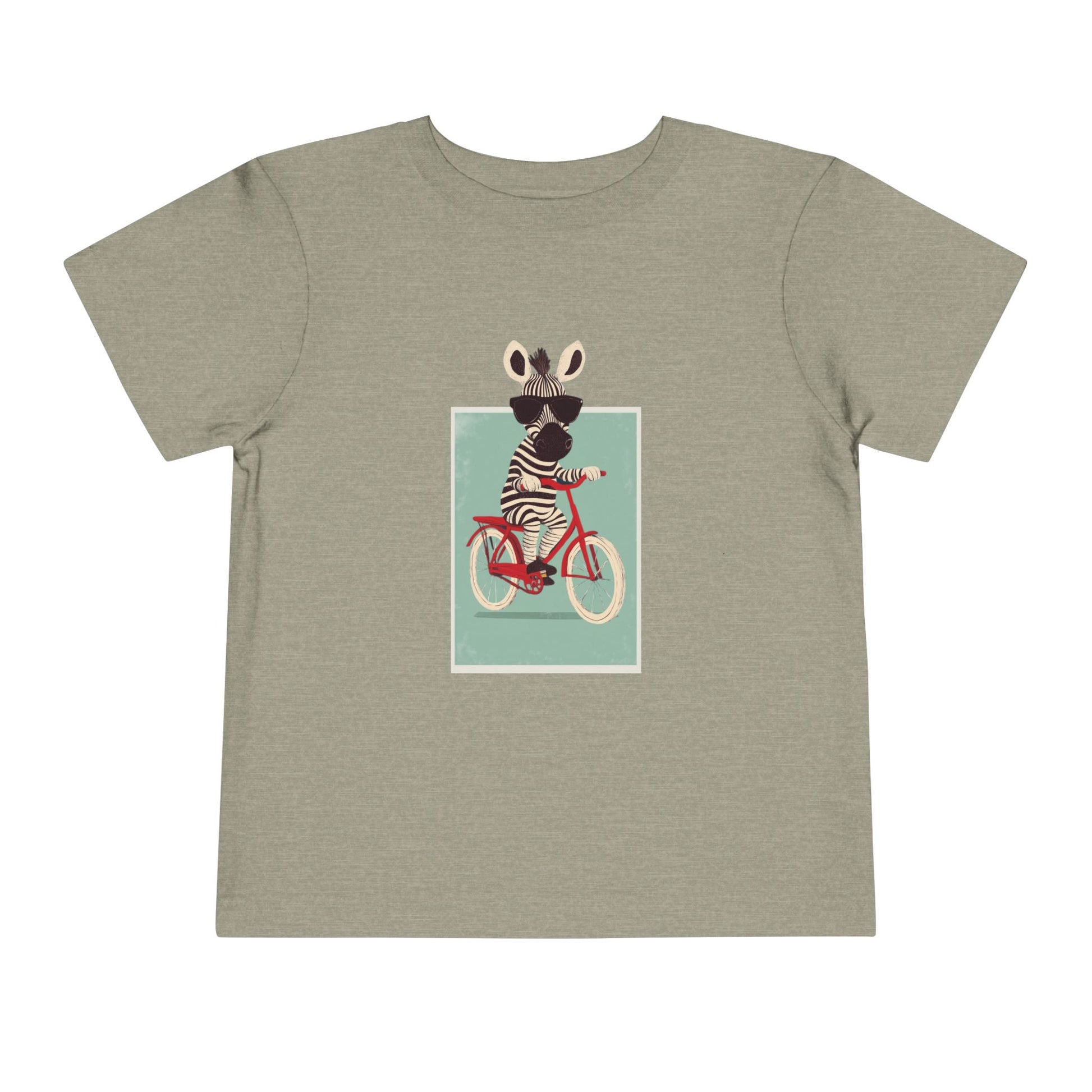 Zebra on a Bicycle  image 11