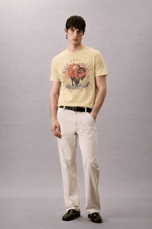 product_name  graphic T-Shirt Del Lago Greenwich