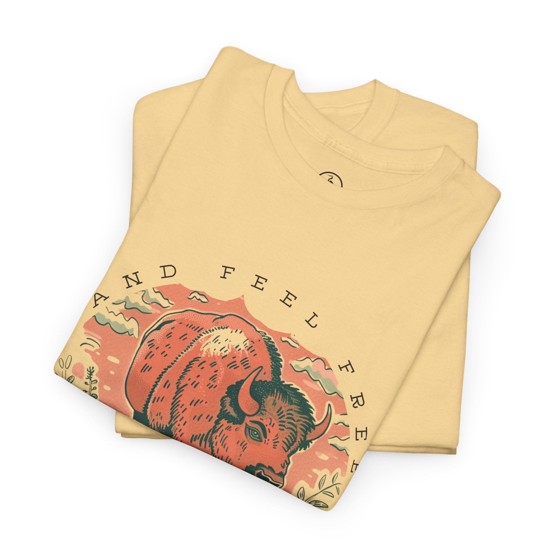 product_name  graphic T-Shirt Del Lago Greenwich