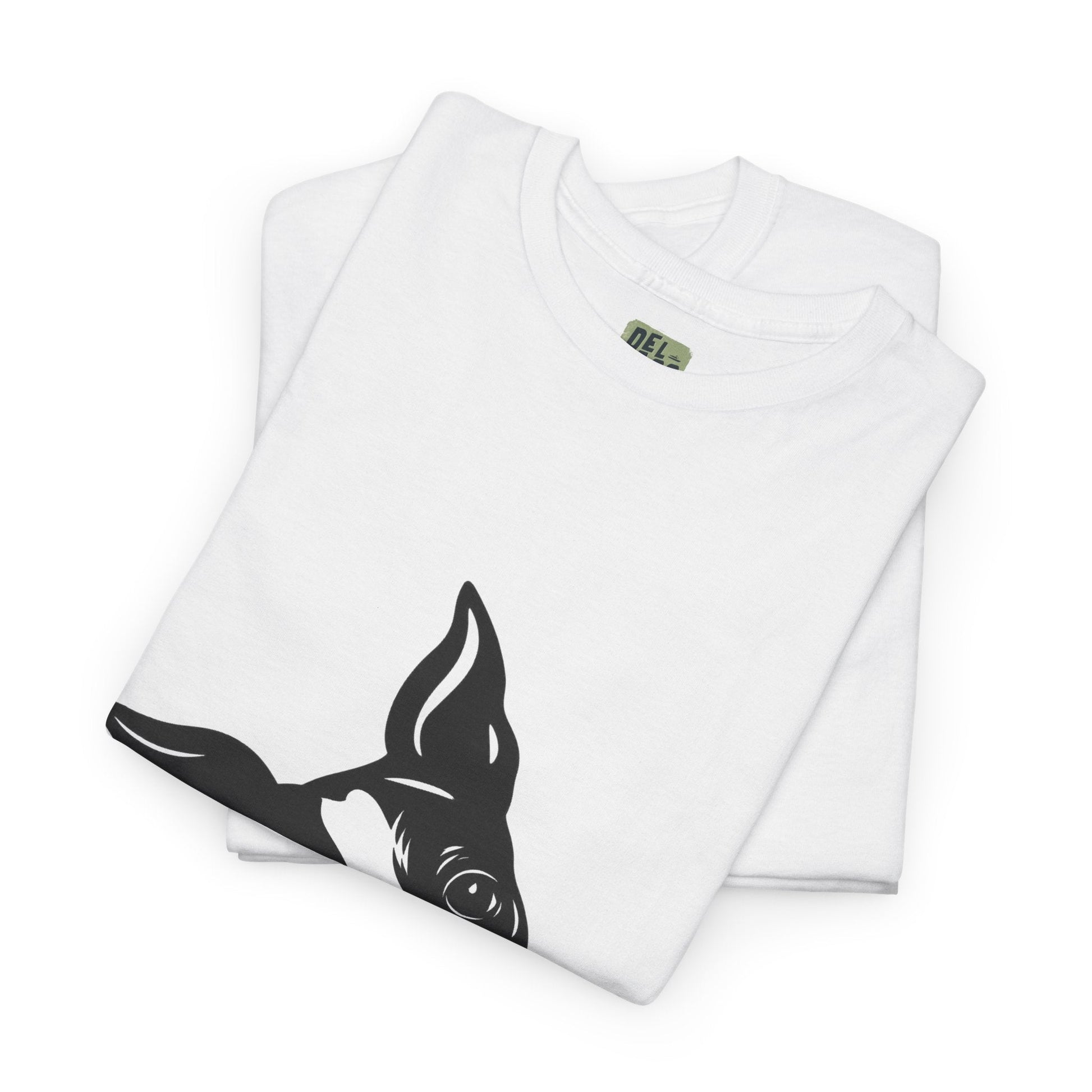 product_name  graphic T-Shirt Del Lago Greenwich