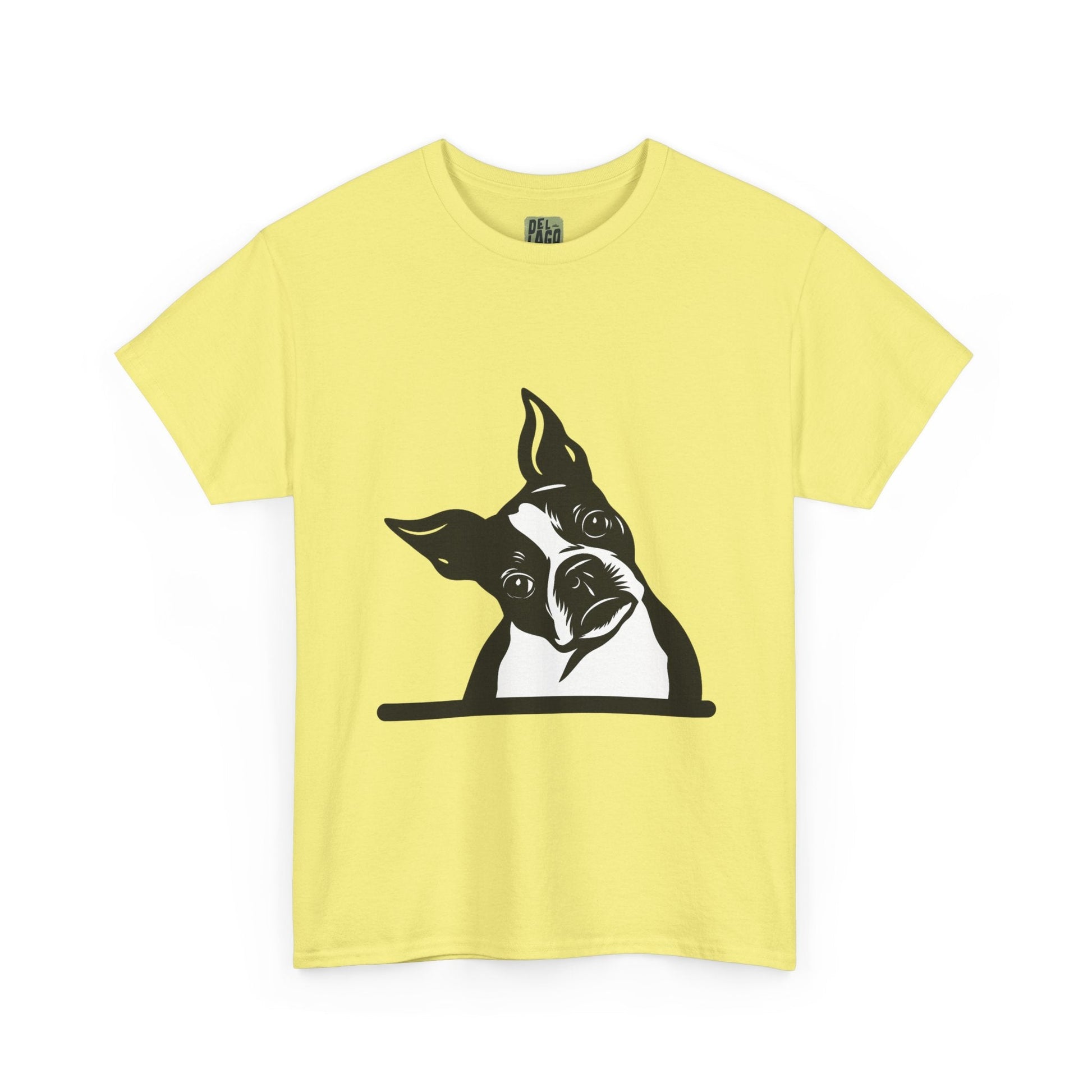 product_name  graphic T-Shirt Del Lago Greenwich